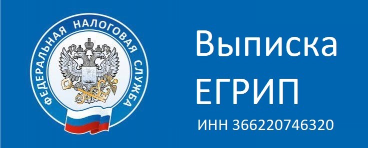 ВЫписка ЕГРИП
